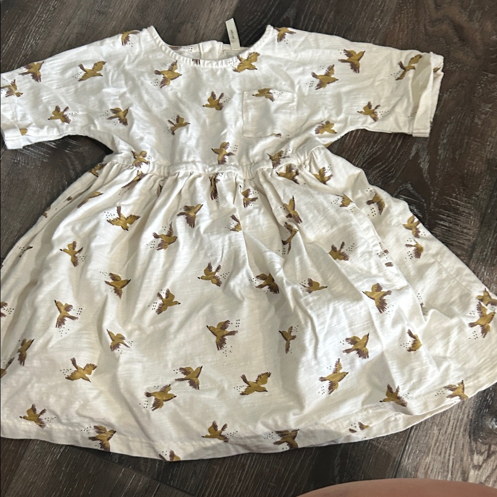 RARE White Dress with Bird Print